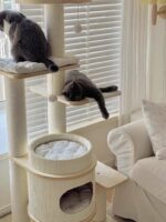 french vanilla cat tower - 画像 (4)