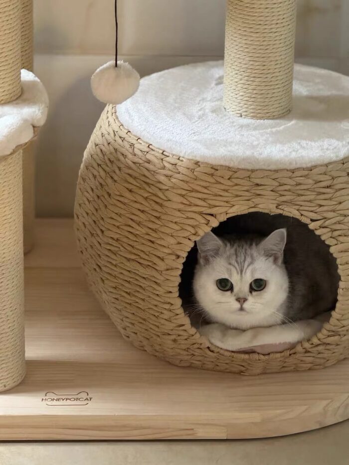 rattan cream cat tower - 画像 (3)