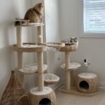 rattan cream cat tower