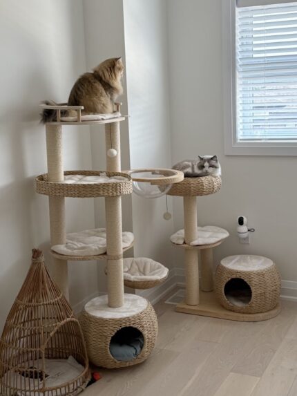 rattan cream cat tower