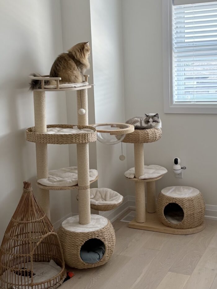 rattan cream cat tower - 画像 (8)