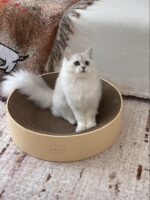 cocoon cat scratcher - 画像 (2)