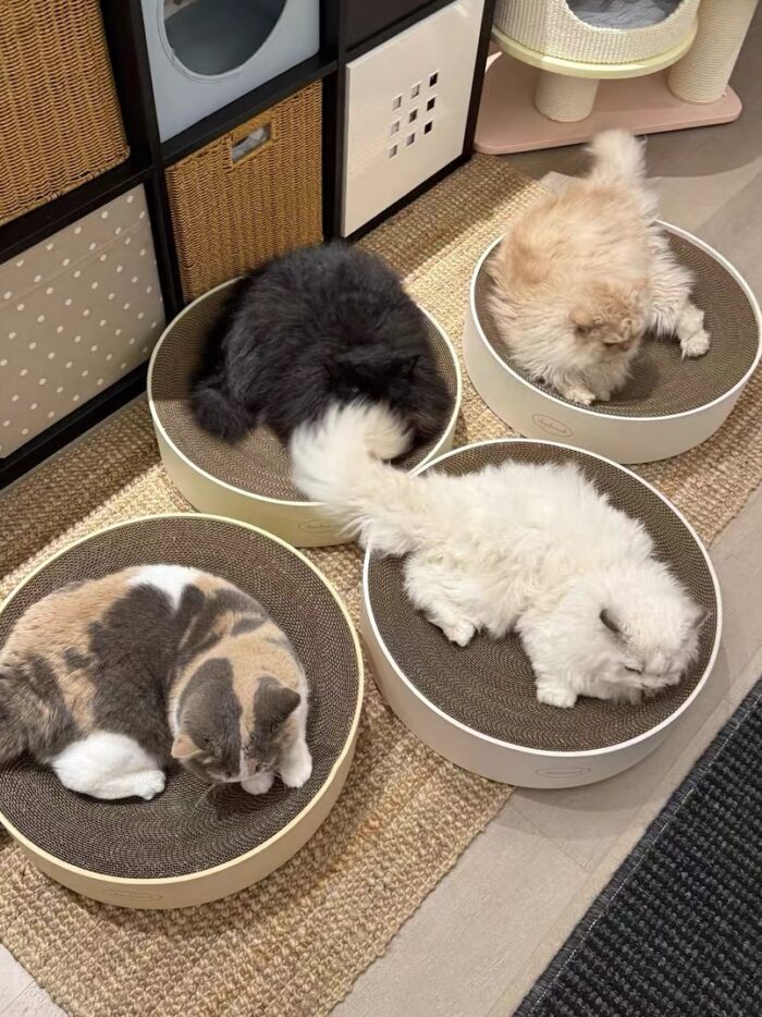 cocoon cat scratcher - 画像 (9)