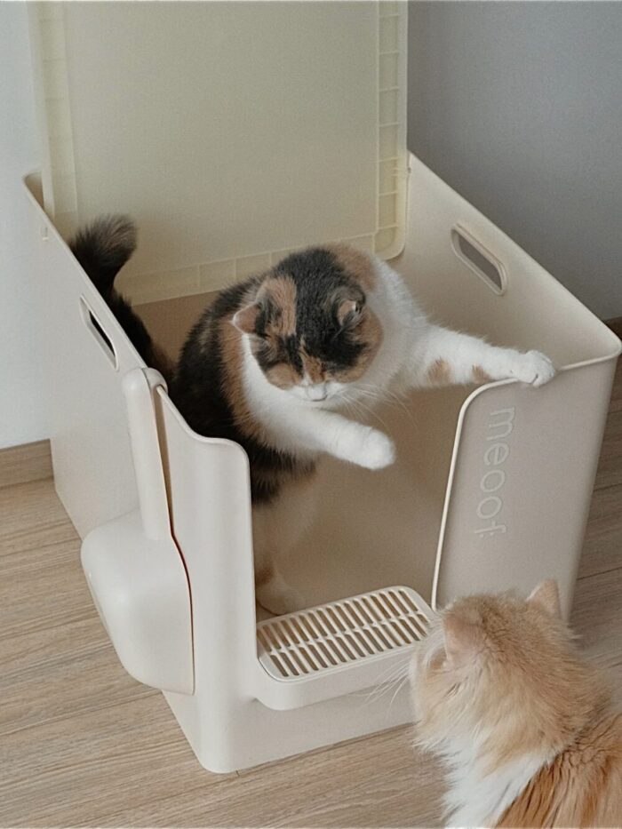 meoof cat toilet - 画像 (30)