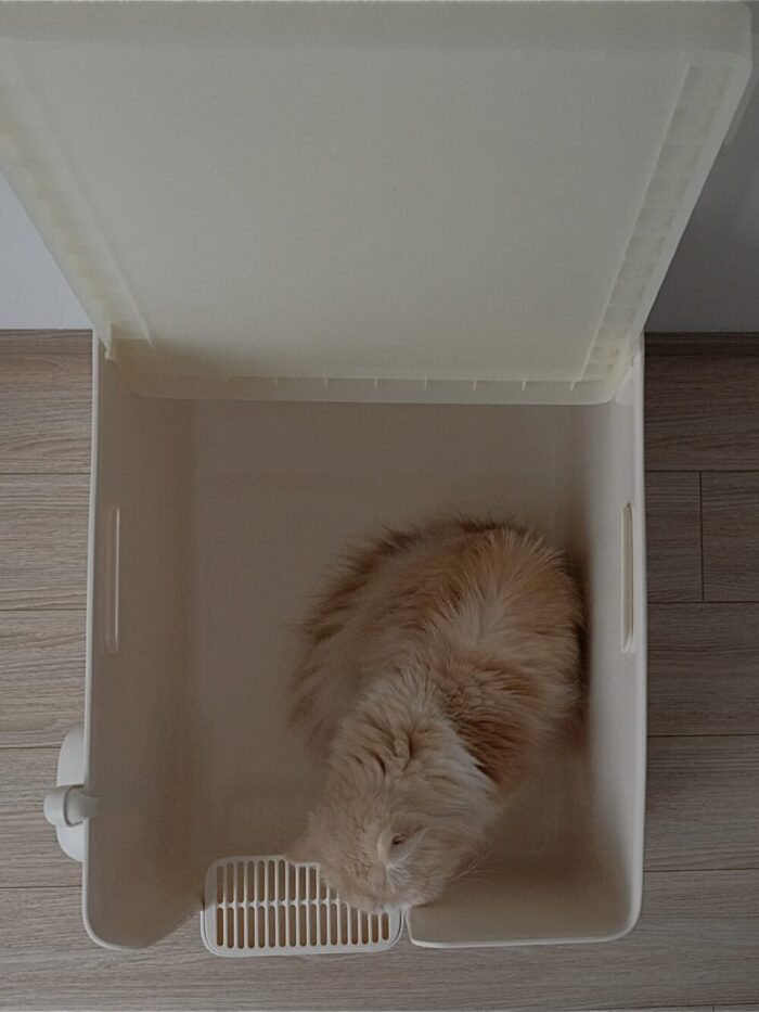 meoof cat toilet - 画像 (28)