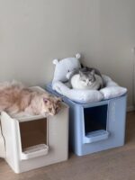 meoof cat toilet - 画像 (26)