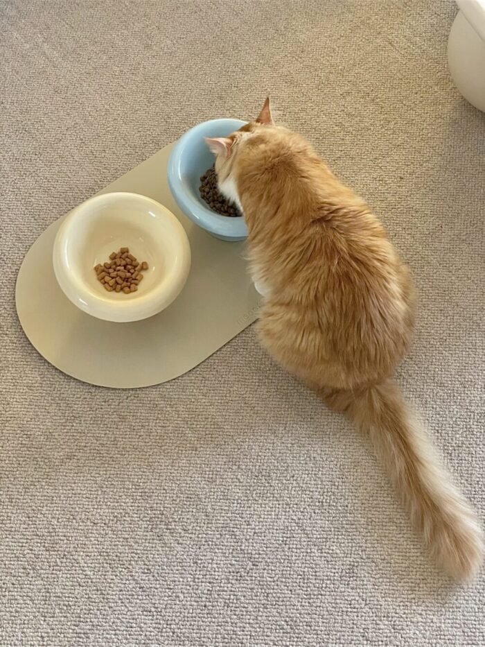 mush food bowl - 画像 (6)