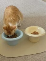 mush food bowl - 画像 (7)