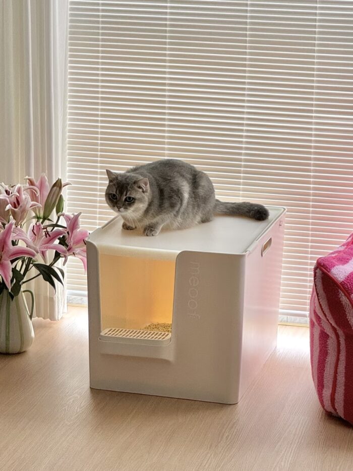 meoof cat toilet - 画像 (10)