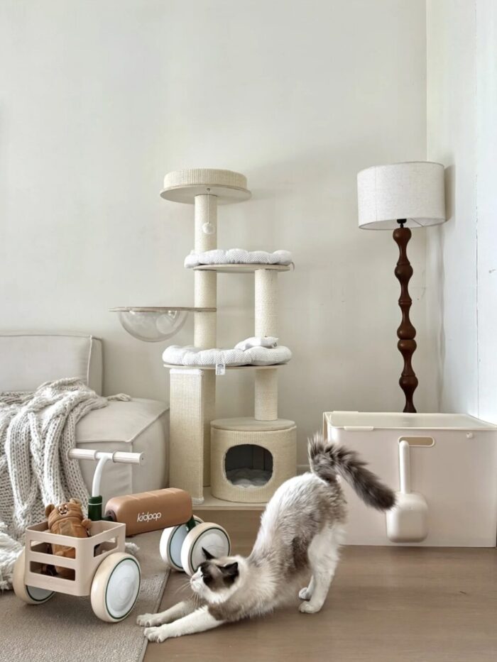 meoof cat toilet - 画像 (7)