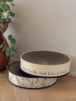 glace cat scratcher - 画像 (2)