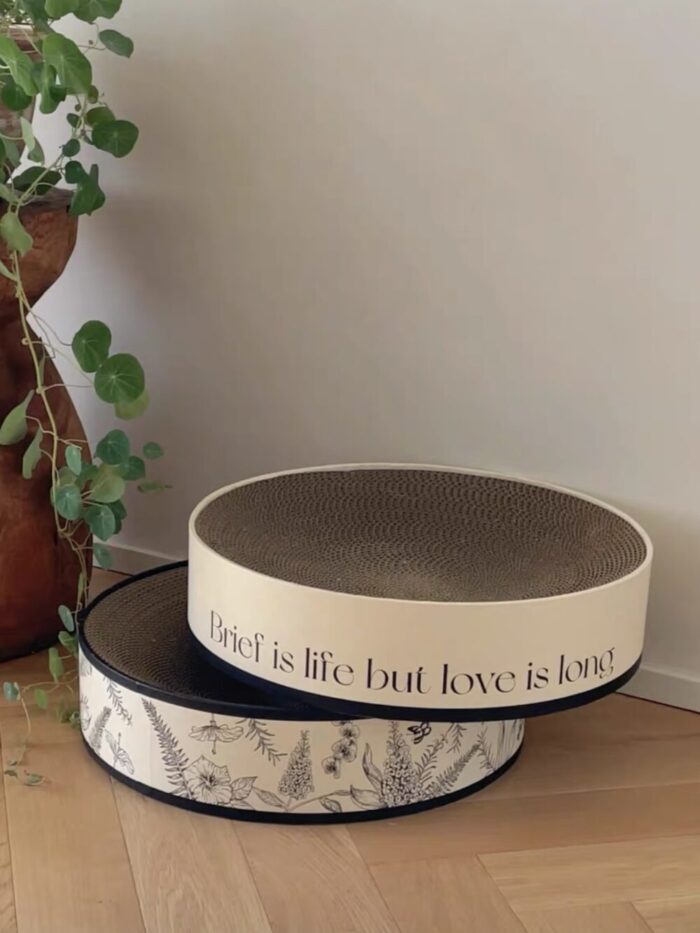 glace cat scratcher - 画像 (2)