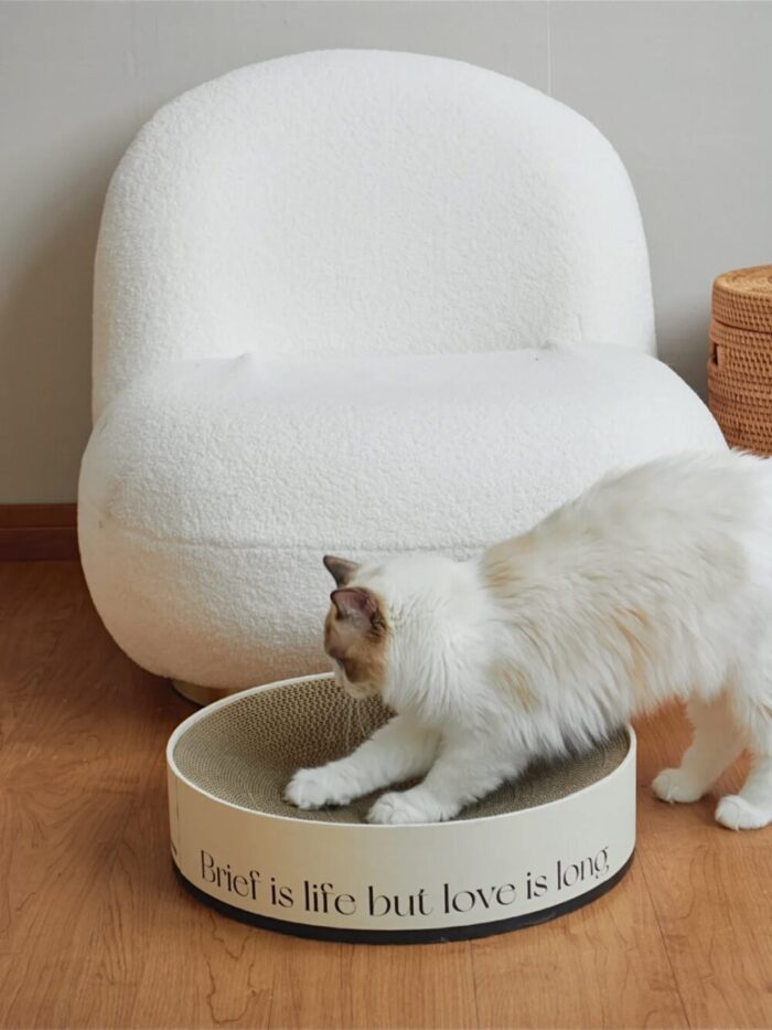 glace cat scratcher - 画像 (10)