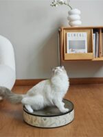 glace cat scratcher - 画像 (11)