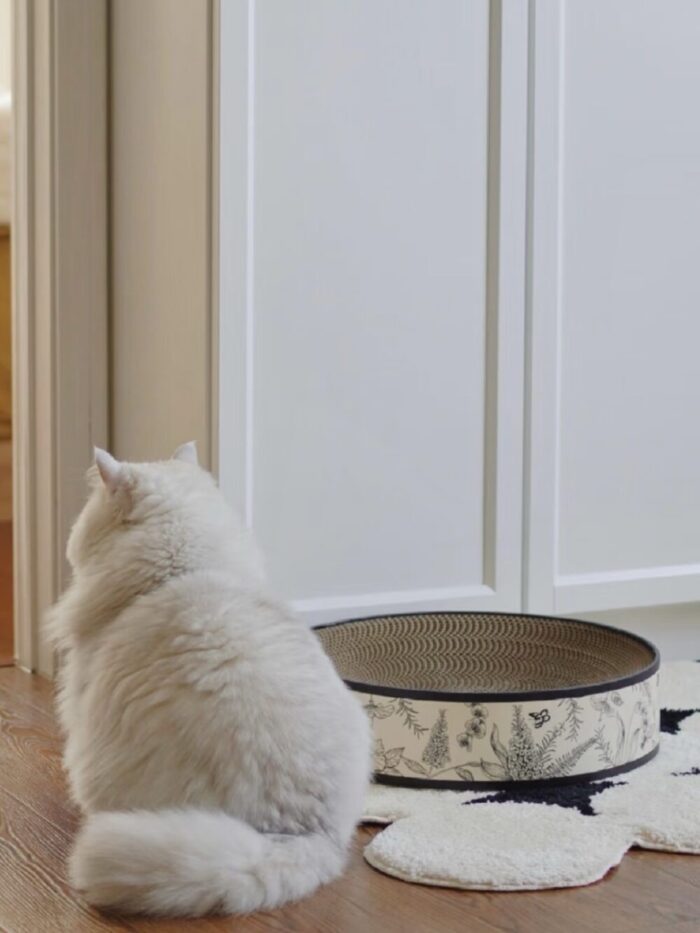 glace cat scratcher - 画像 (6)