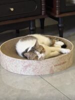 floral cat scratcher - 画像 (10)