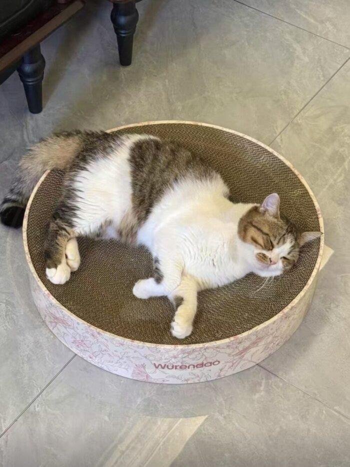 floral cat scratcher - 画像 (11)