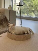 floral cat scratcher - 画像 (9)