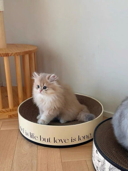glace cat scratcher