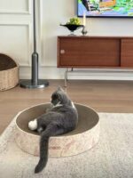 floral cat scratcher - 画像 (2)