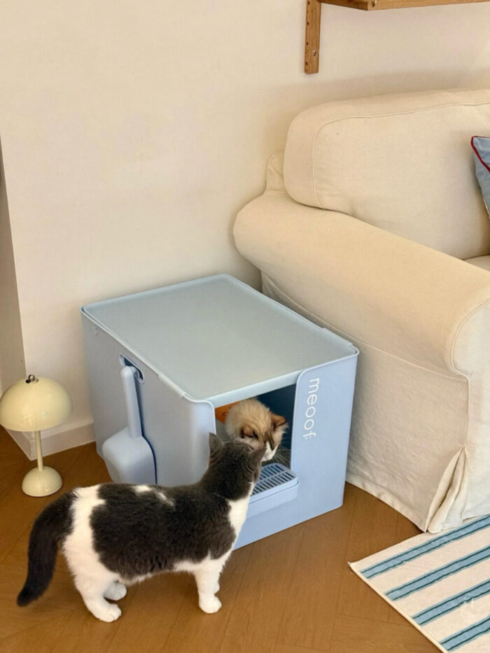 meoof cat toilet - 画像 (19)