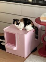 meoof cat toilet - 画像 (3)