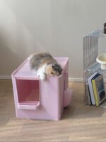 meoof cat toilet - 画像 (22)