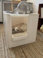 meoof cat toilet - 画像 (5)