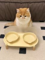 pastel double food bowl - 画像 (7)
