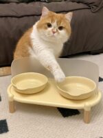 pastel double food bowl - 画像 (6)