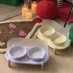 pastel double food bowl