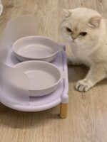 pastel double food bowl - 画像 (4)
