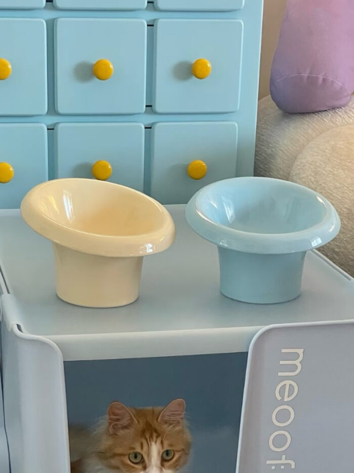 mush food bowl - 画像 (4)