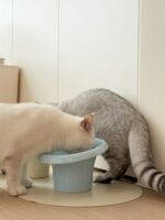 mush food bowl - 画像 (13)