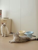 mush food bowl - 画像 (12)