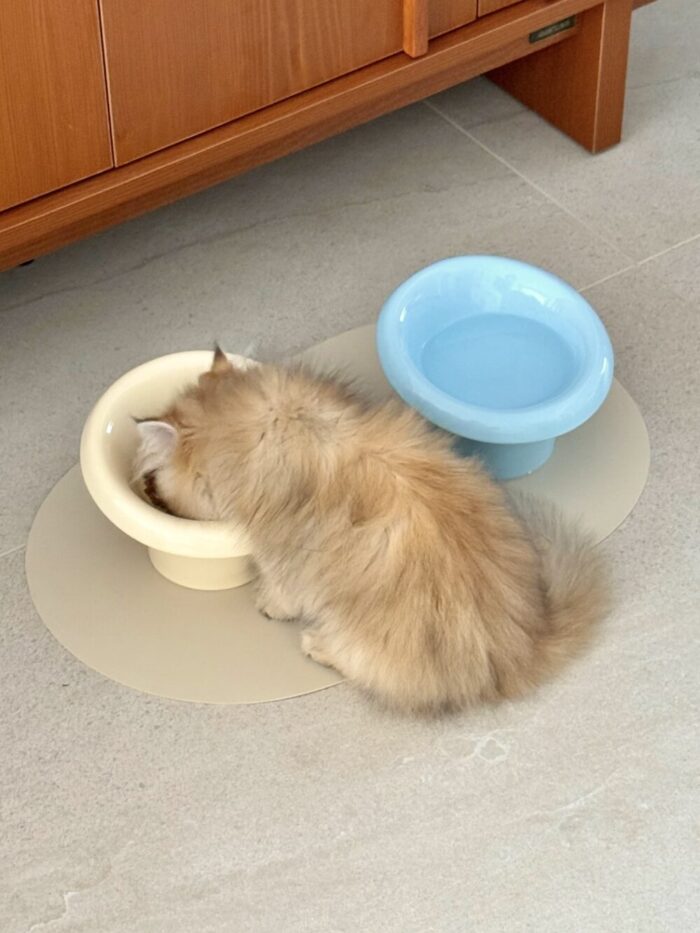 mush food bowl - 画像 (5)