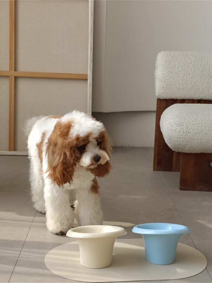 mush food bowl - 画像 (11)