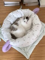 marshmallow mug pet bed - 画像 (5)