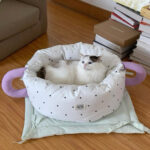 marshmallow mug pet bed