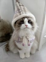 milky lilac pet wear - 画像 (2)
