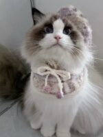 milky lilac pet wear - 画像 (3)