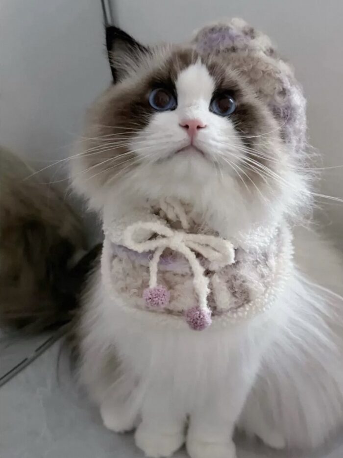 IMG_9433 milky lilac pet wear - 画像 (3)