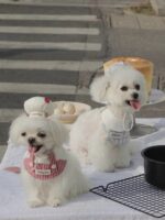 baby patissier pet wear - 画像 (2)