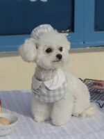 baby patissier pet wear