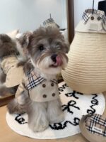 moody trench pet wear - 画像 (13)