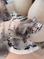 moody trench pet wear - 画像 (14)