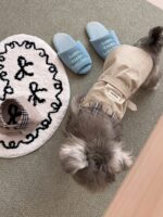 moody trench pet wear - 画像 (15)