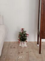 Holly natural mini christmas tree - 画像 (12)
