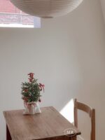 Holly natural mini christmas tree - 画像 (5)