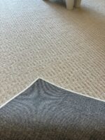 soft velvet carpet - 画像 (10)